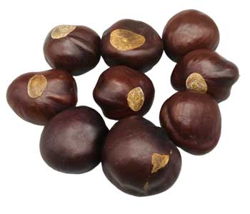 Buckeyes Whole 2 oz
