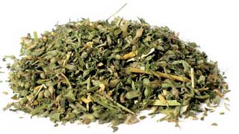 Catnip Cut 2 oz (nepeta Cataria)