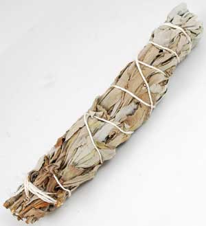 White Sage Smudge Stick 6-7" Unbagged