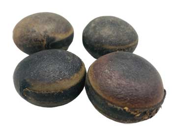 Ojo De Buey (ox Eye)